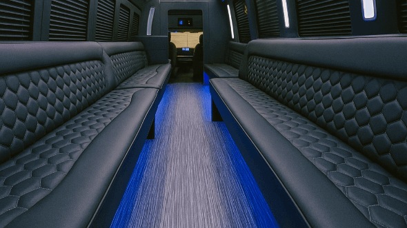 Interior of Charter Bus Company Ontario's 20 Passenger Party Bus in Ontario